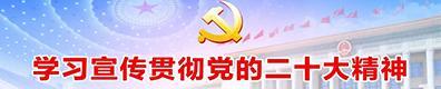 学习二十大